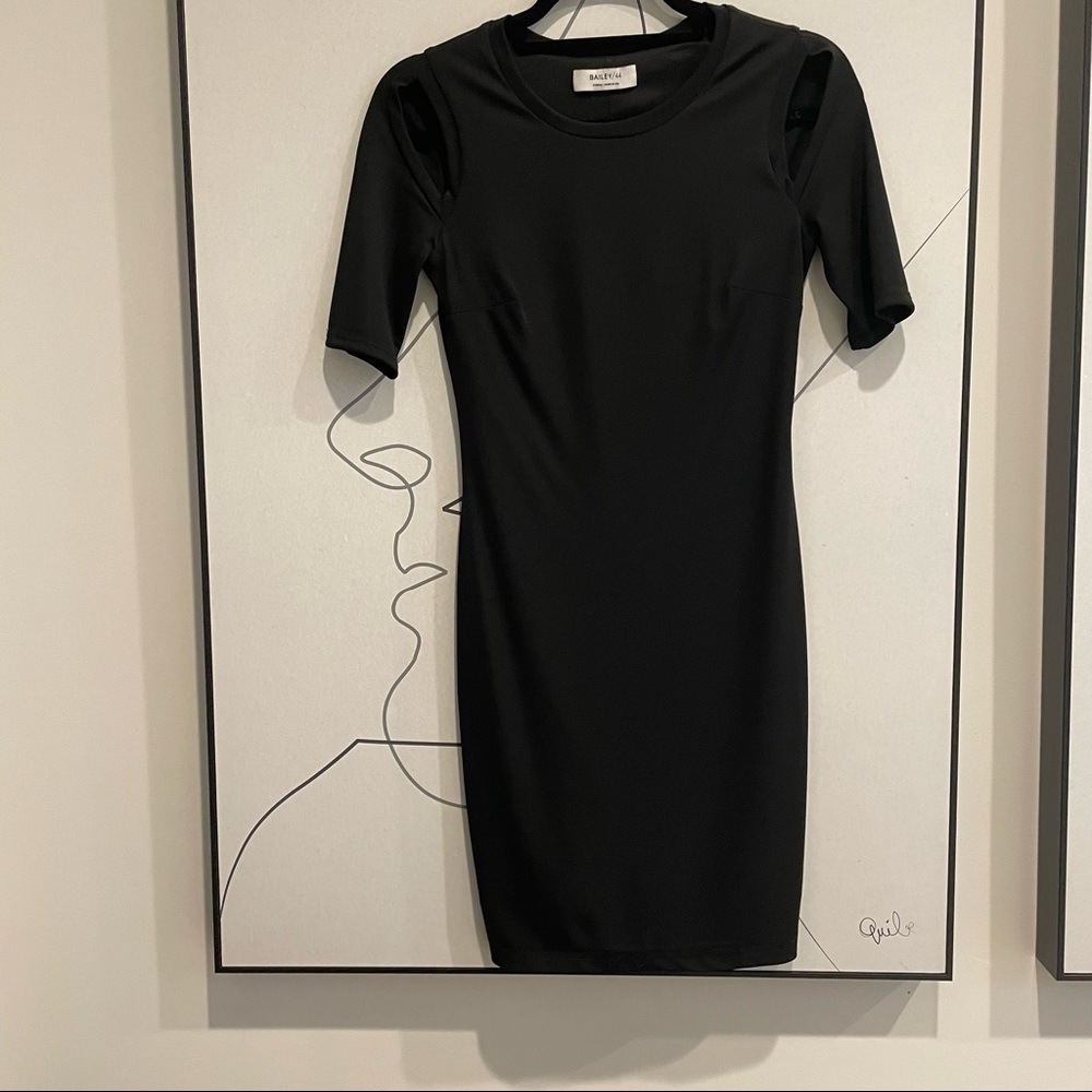 Bailey44 Dress